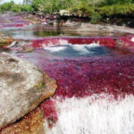 Caño Cristales from Bogota – 3 Days