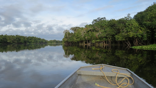 Amazon River