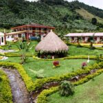 Coffee Farm Tour in Colombia