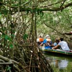 Cartagena Mangrove Tour