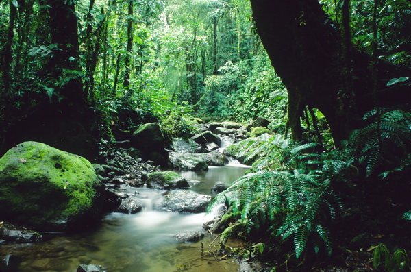 Darien Jungle From Panama Tour - Colombia Travel and Tours